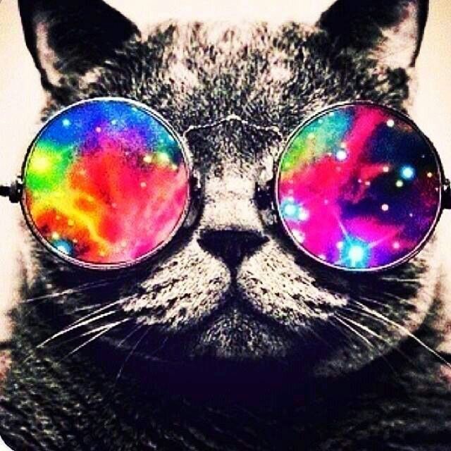 Cat With Galaxy Glasses