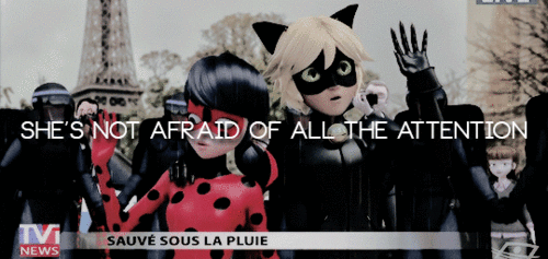 Ladybug Image Chat Noir And Wallpaper Background Photos