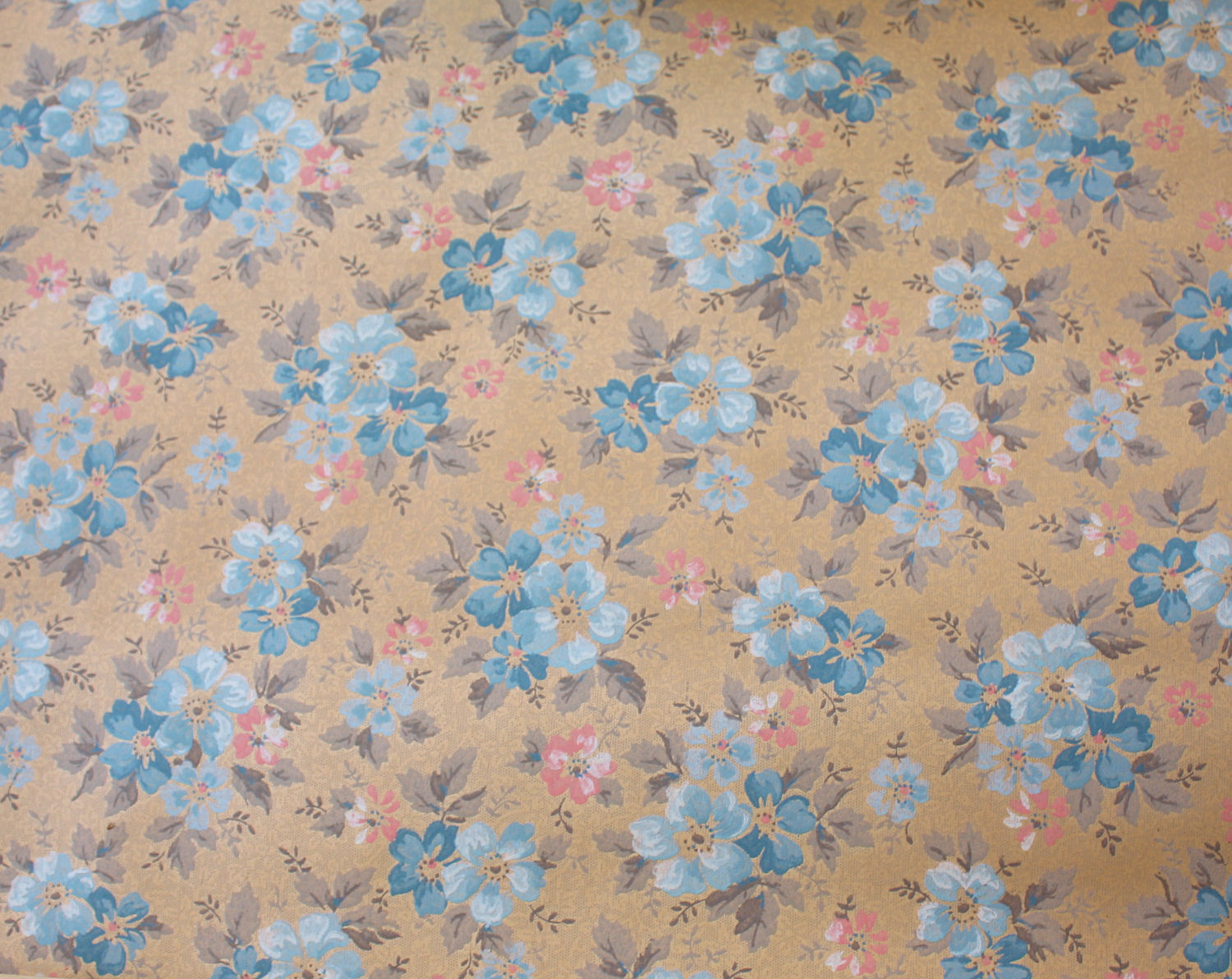 S Wallpaper Blue Pink Flowers On Tan Background