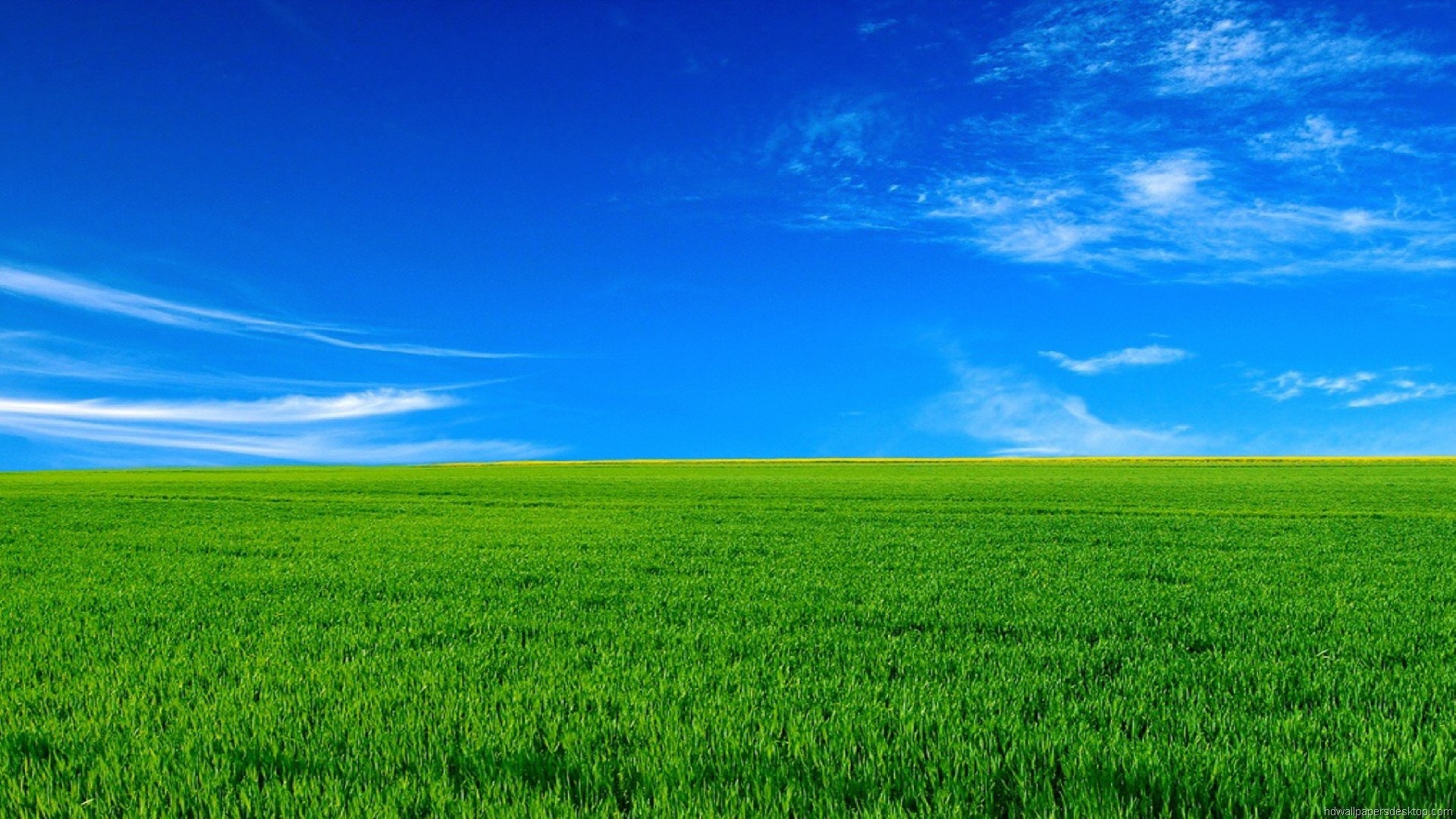 HD Wallpaper Nature 1080p