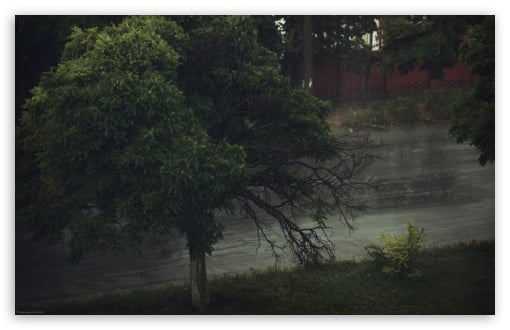 Rainy Day HD desktop wallpaper High Definition Fullscreen Mobile