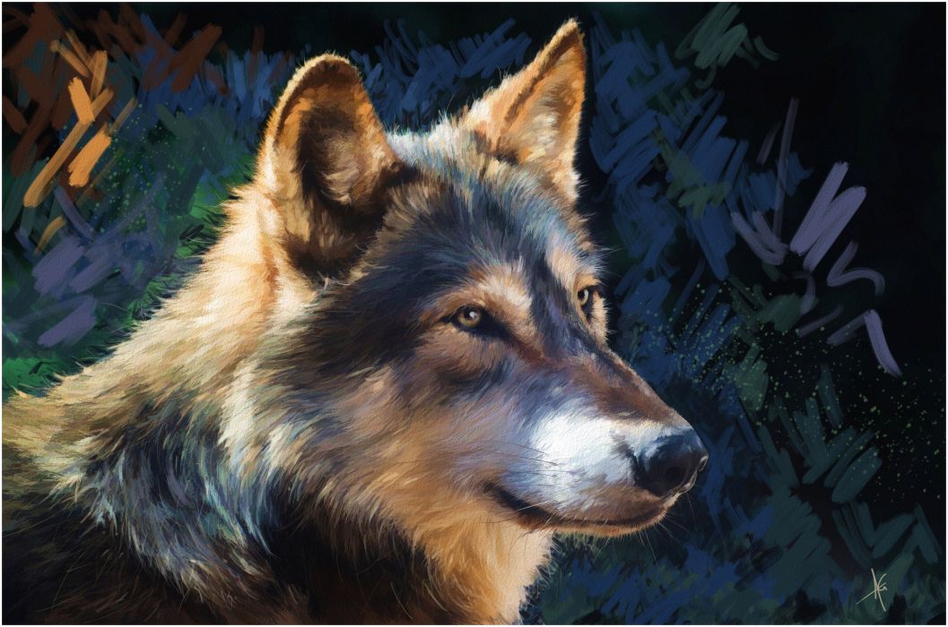 Pictorial Art Wolves Painting Alberto Guillen Glance Head