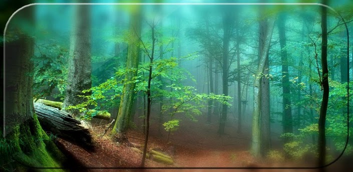 Install the Forest Live Wallpaper 3D v102 app on yourandroid device