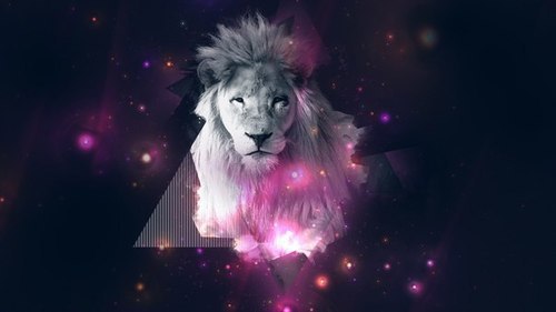 Lion 1440x2960 Resolution Wallpapers Samsung Galaxy Note 98 S9S8S8 QHD