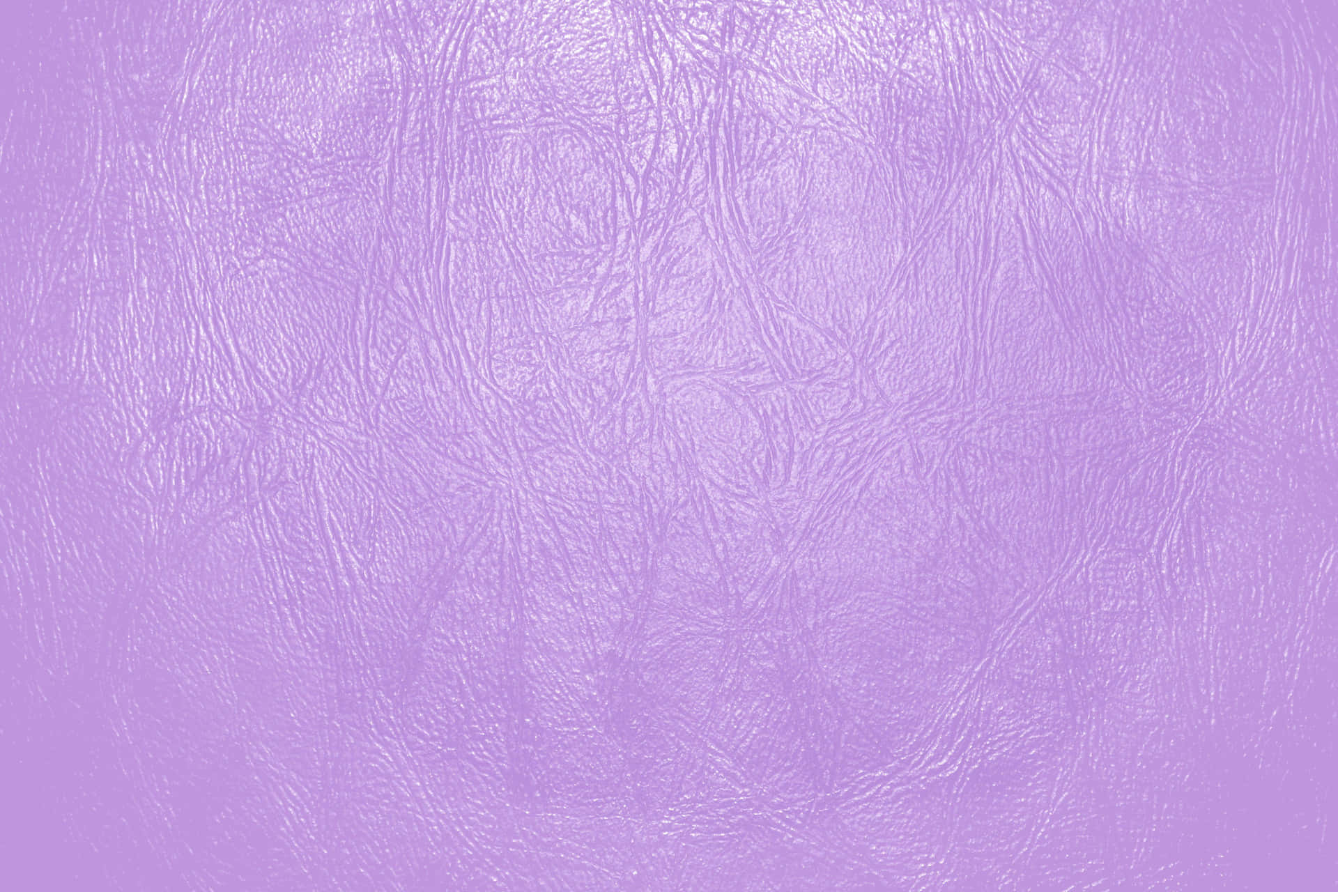 Lilac Color Wallpaper