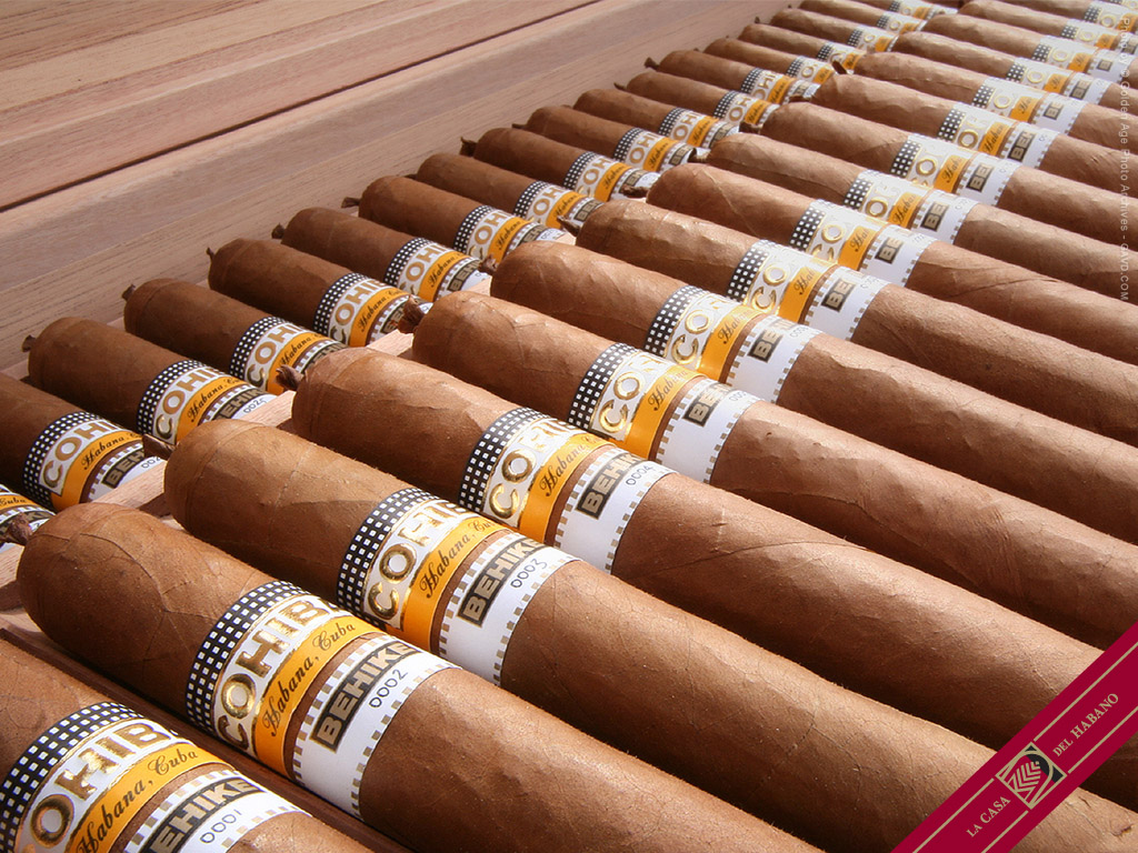  the Havana Cigar a temple devoted to the worlds finest tobacco