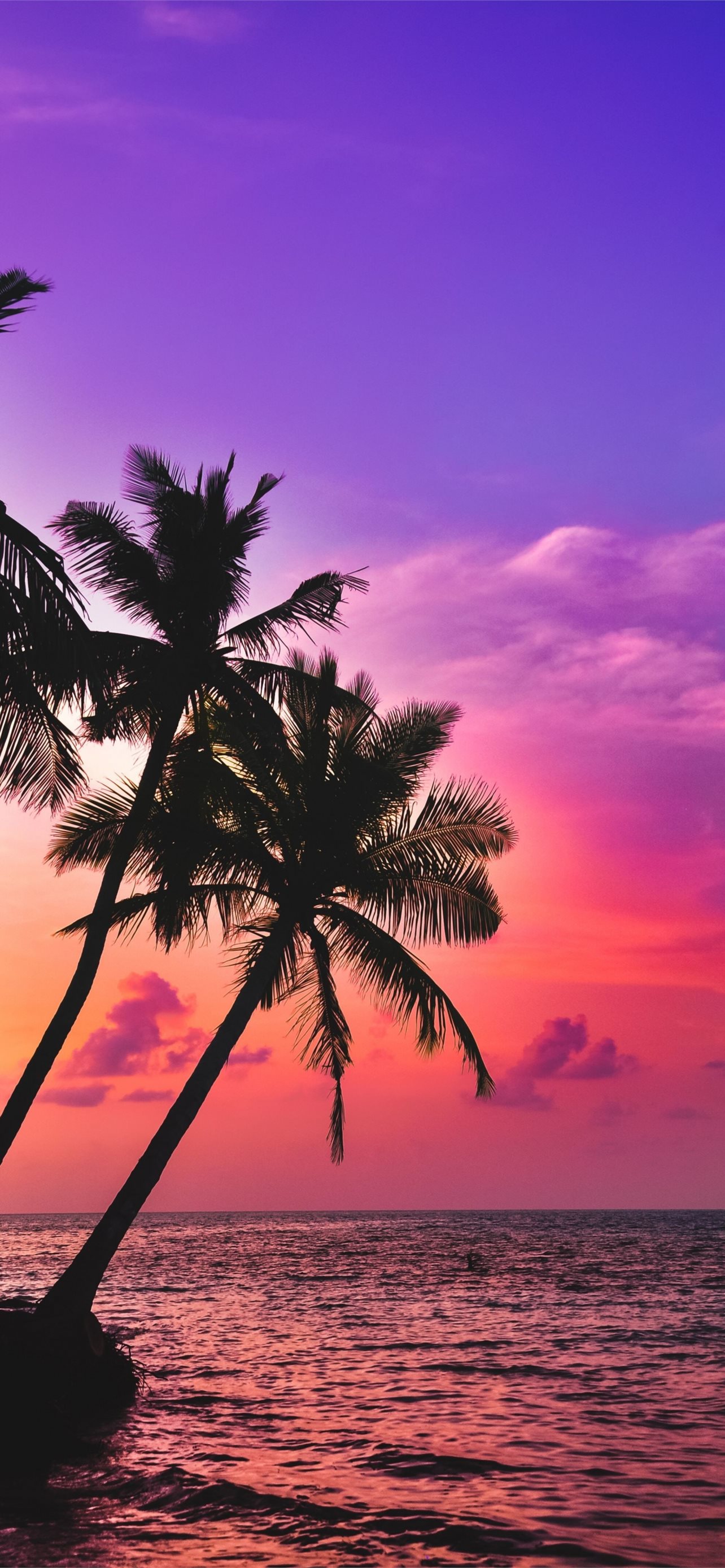 Sunset Beach iPhone Wallpaper