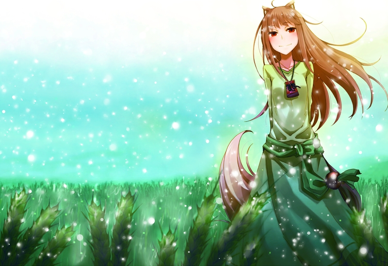Winter Snow Spice And Wolf Fields Animal Ears Holo The Wise