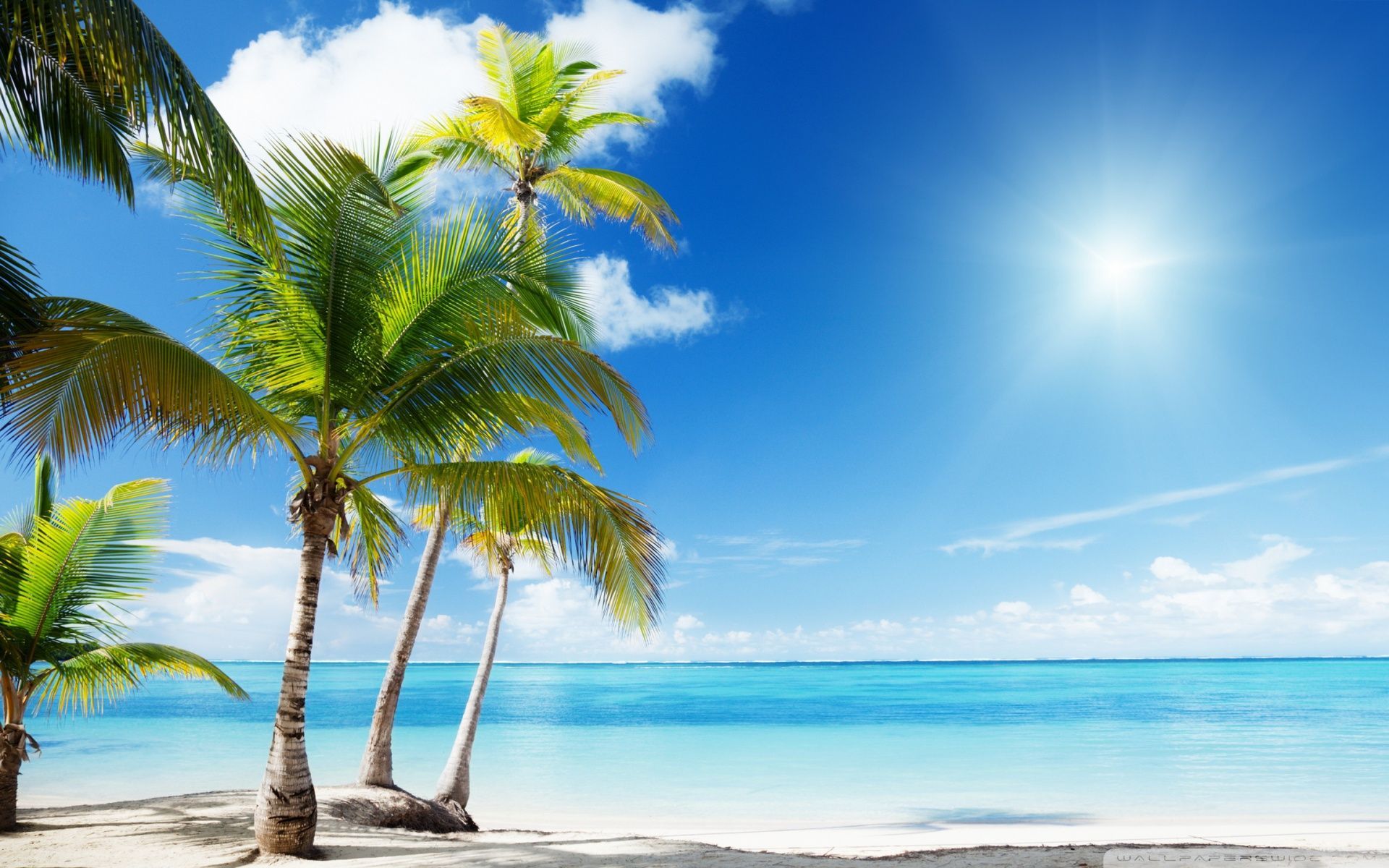 Paradise Island Wallpaper Top Background