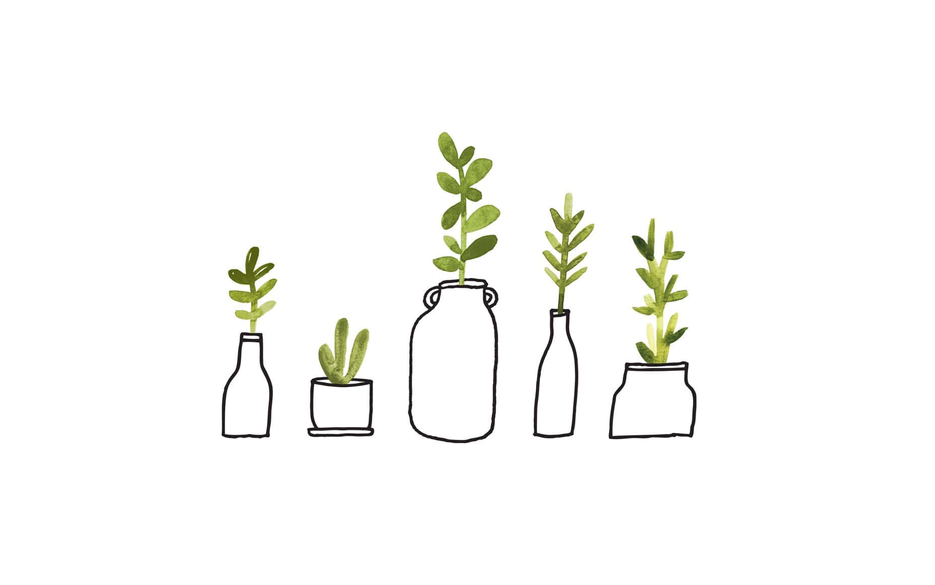 Line Art And Watercolor Minimalist Plant Desktop Wallpaper