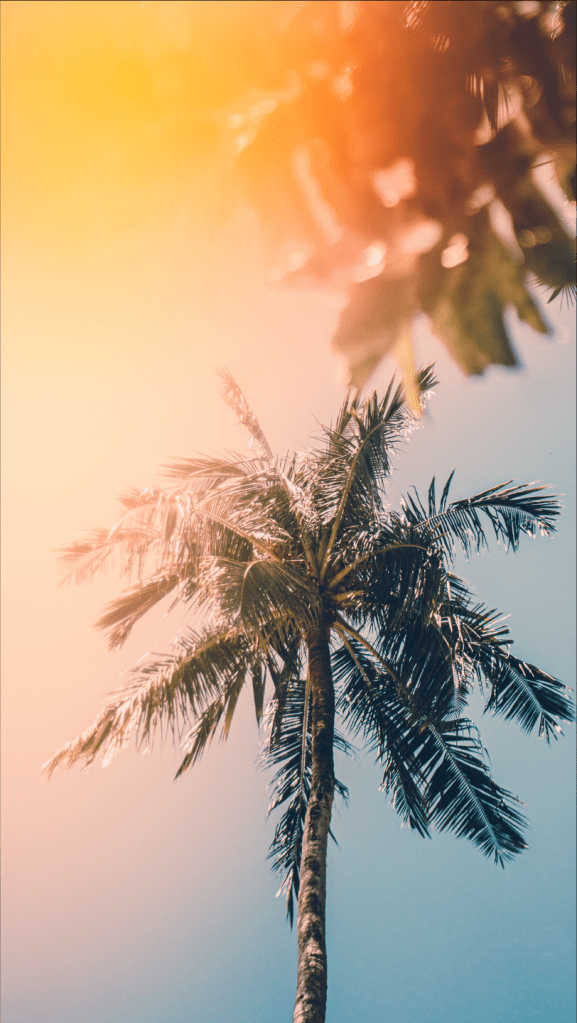 Hottest Summer Wallpaper For iPhone HD