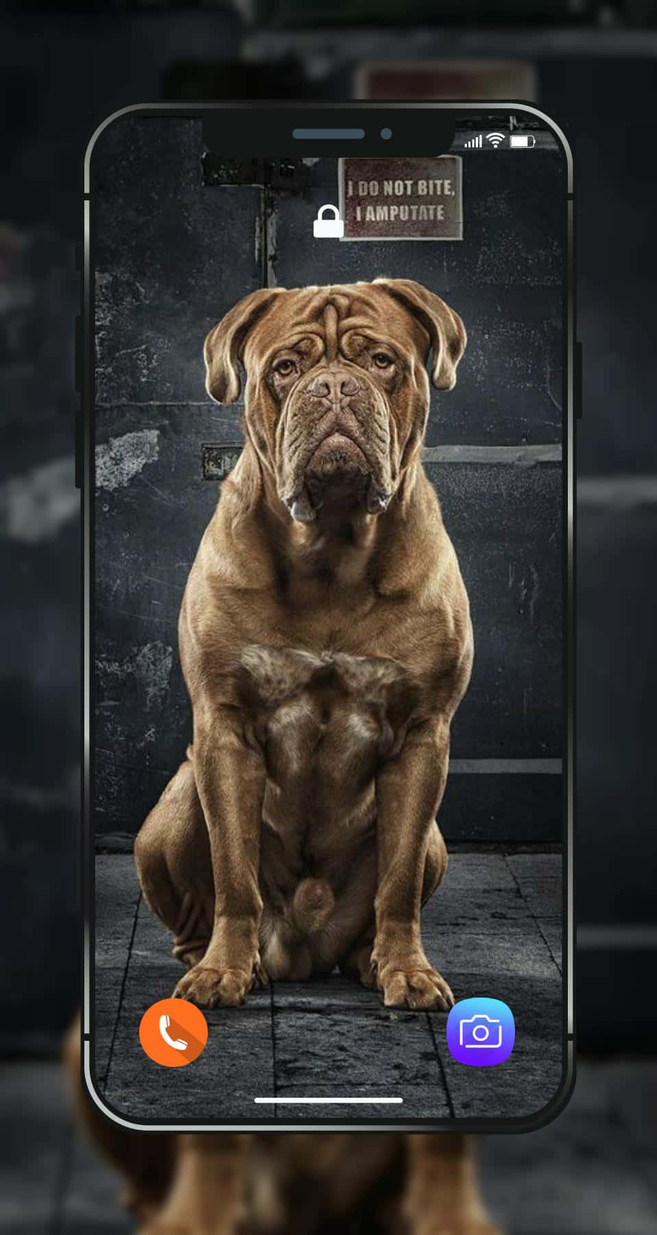Lightning Black Dog Pitbull Wallpaper