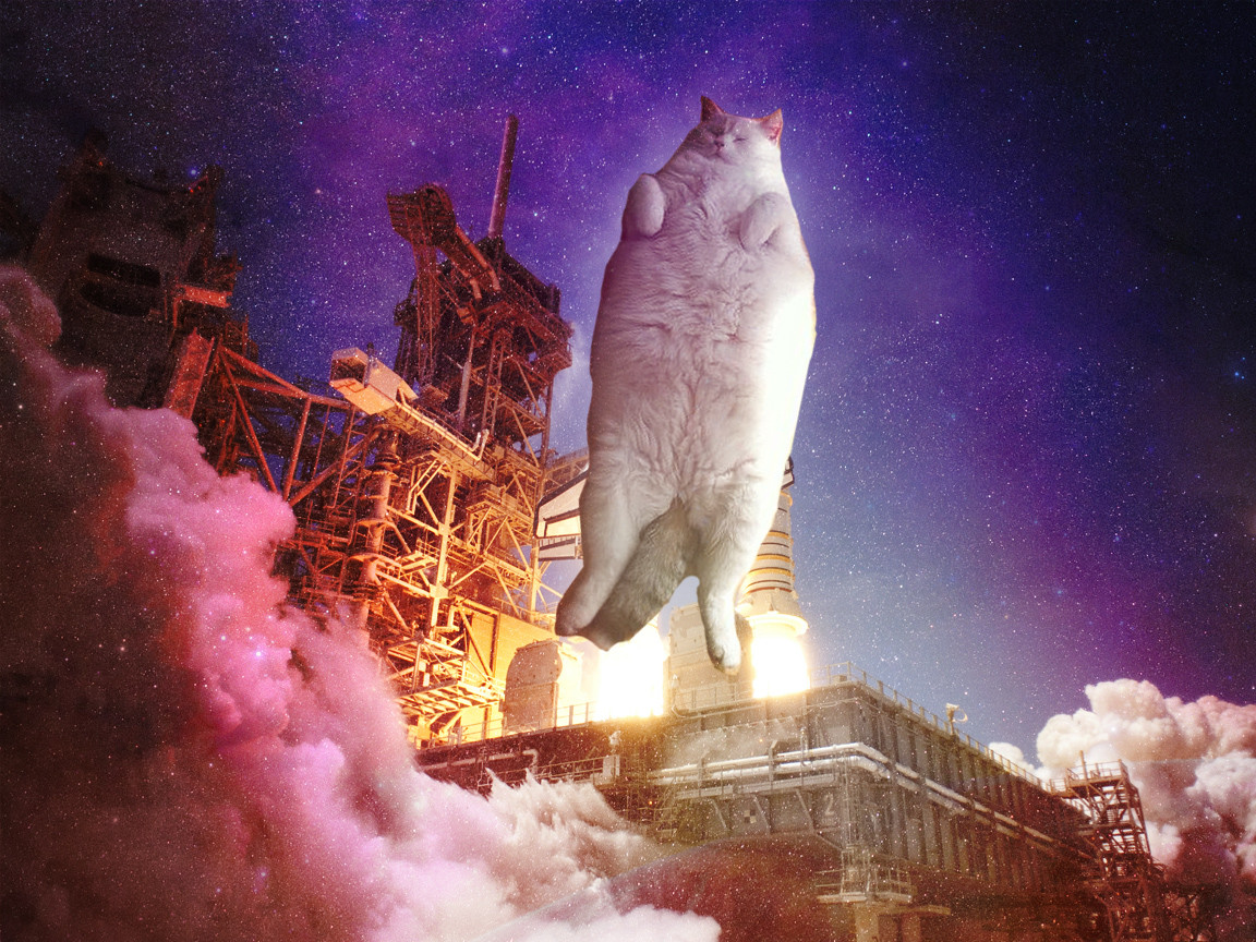  Awesome Cats In Space Wallpapers   Caveman Circus Caveman Circus