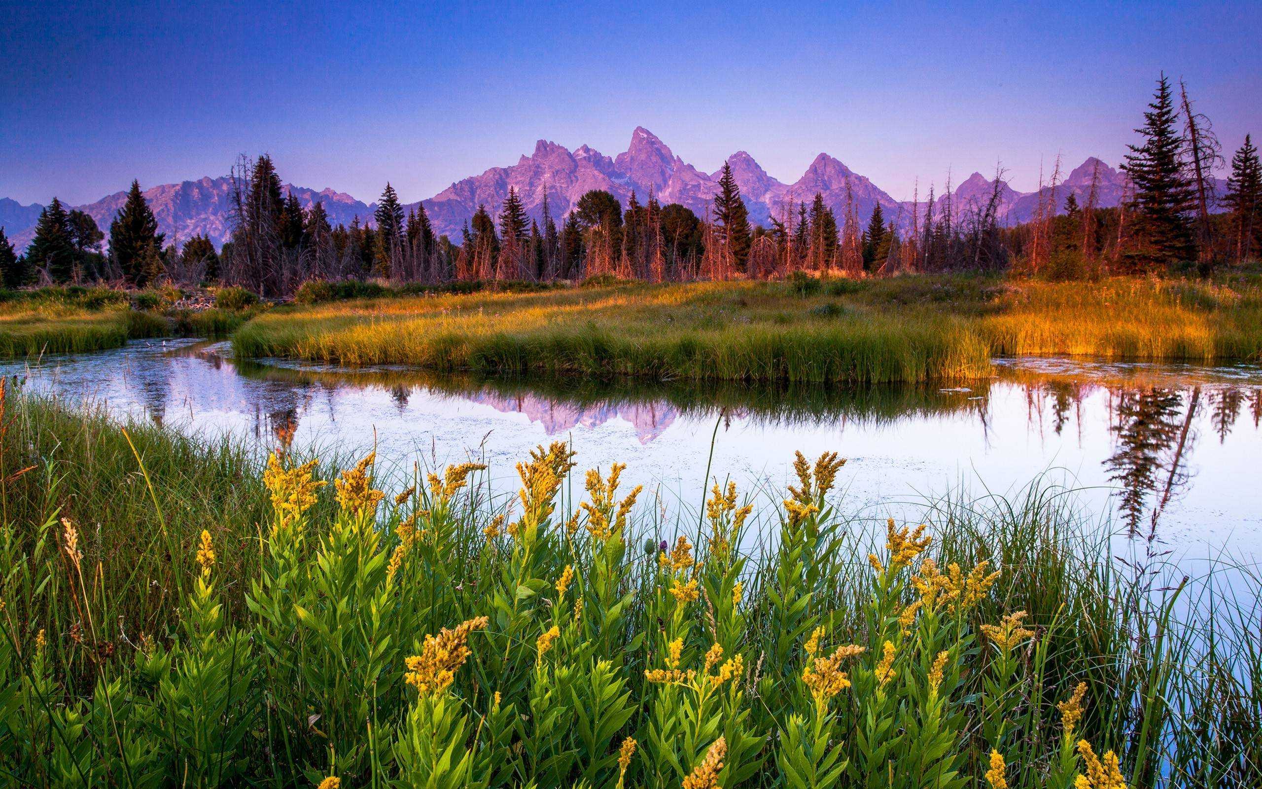 Grand Teton National Park HD Wallpapers Best Collection 2560x1600