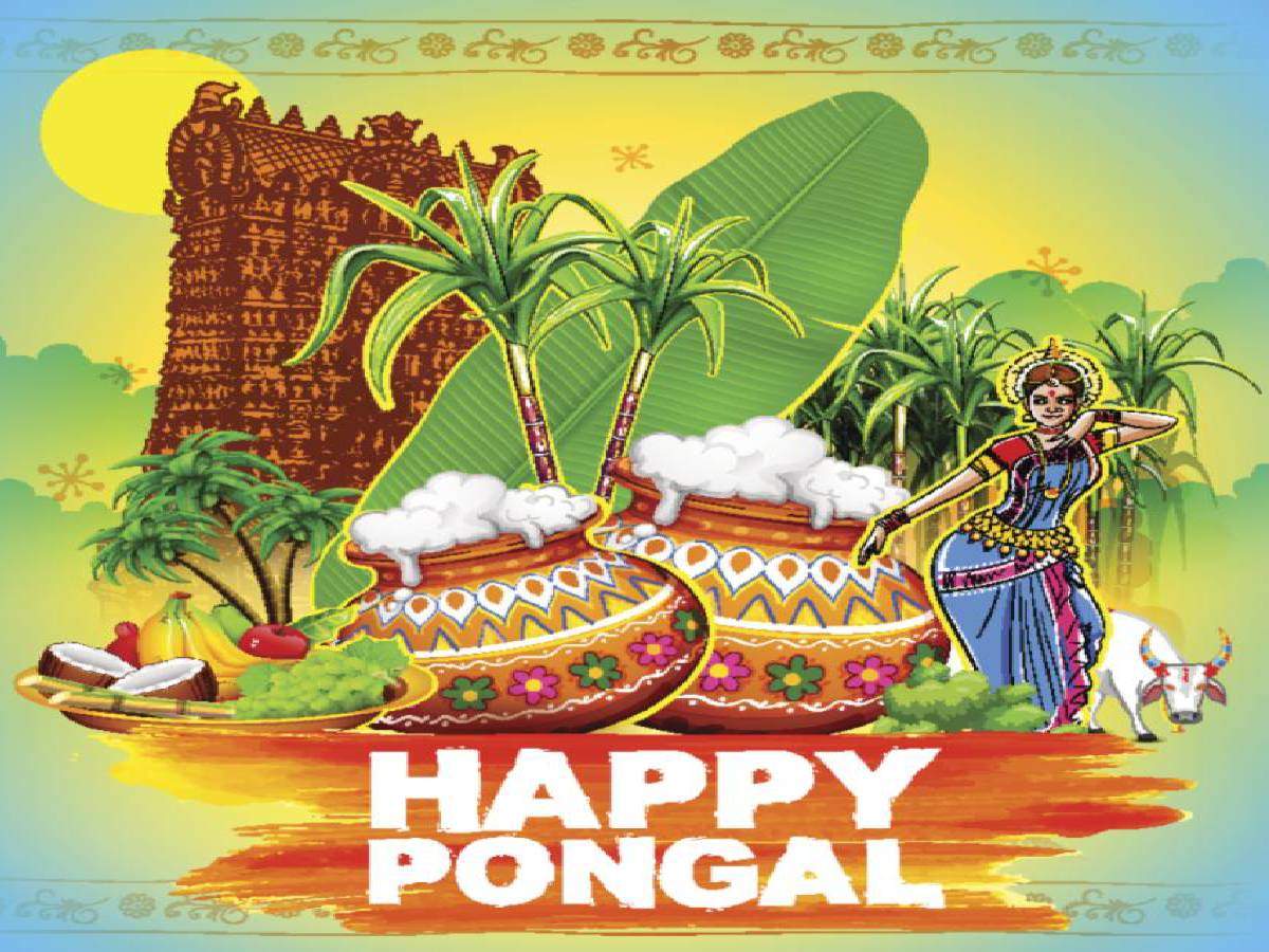 Happy Pongal Image Wishes Messages Quotes Cards