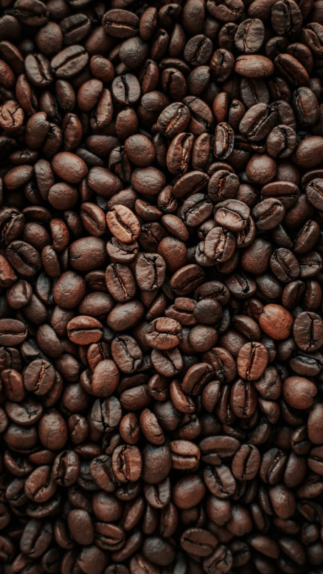 Brown iPhone Wallpaper