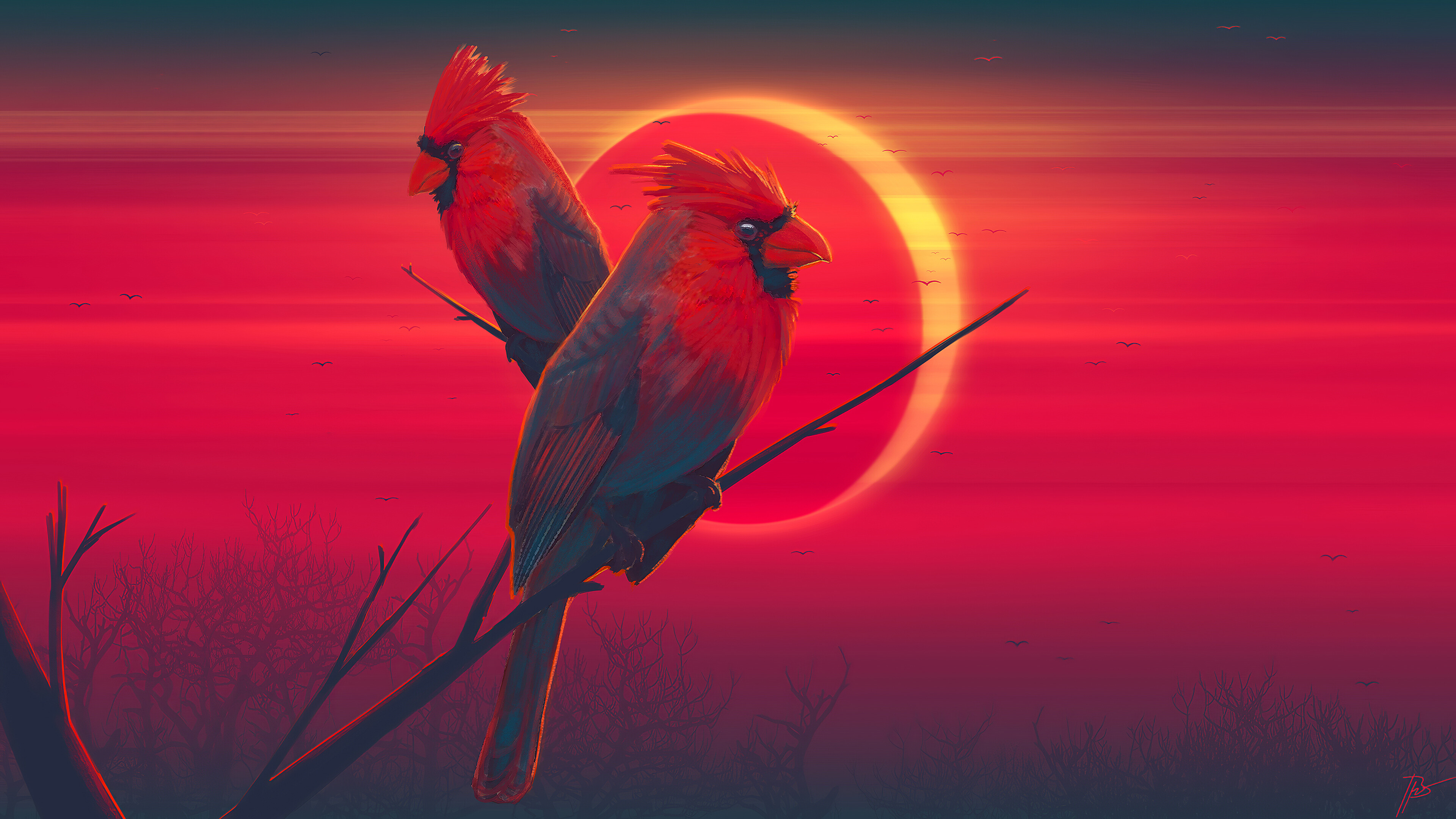 Desktop 4k Bird Background Image Wallpaper