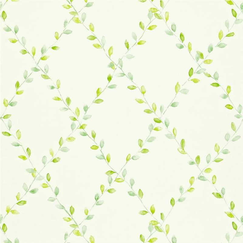 Green Spring Trellis Options Sanderson Wallpaper