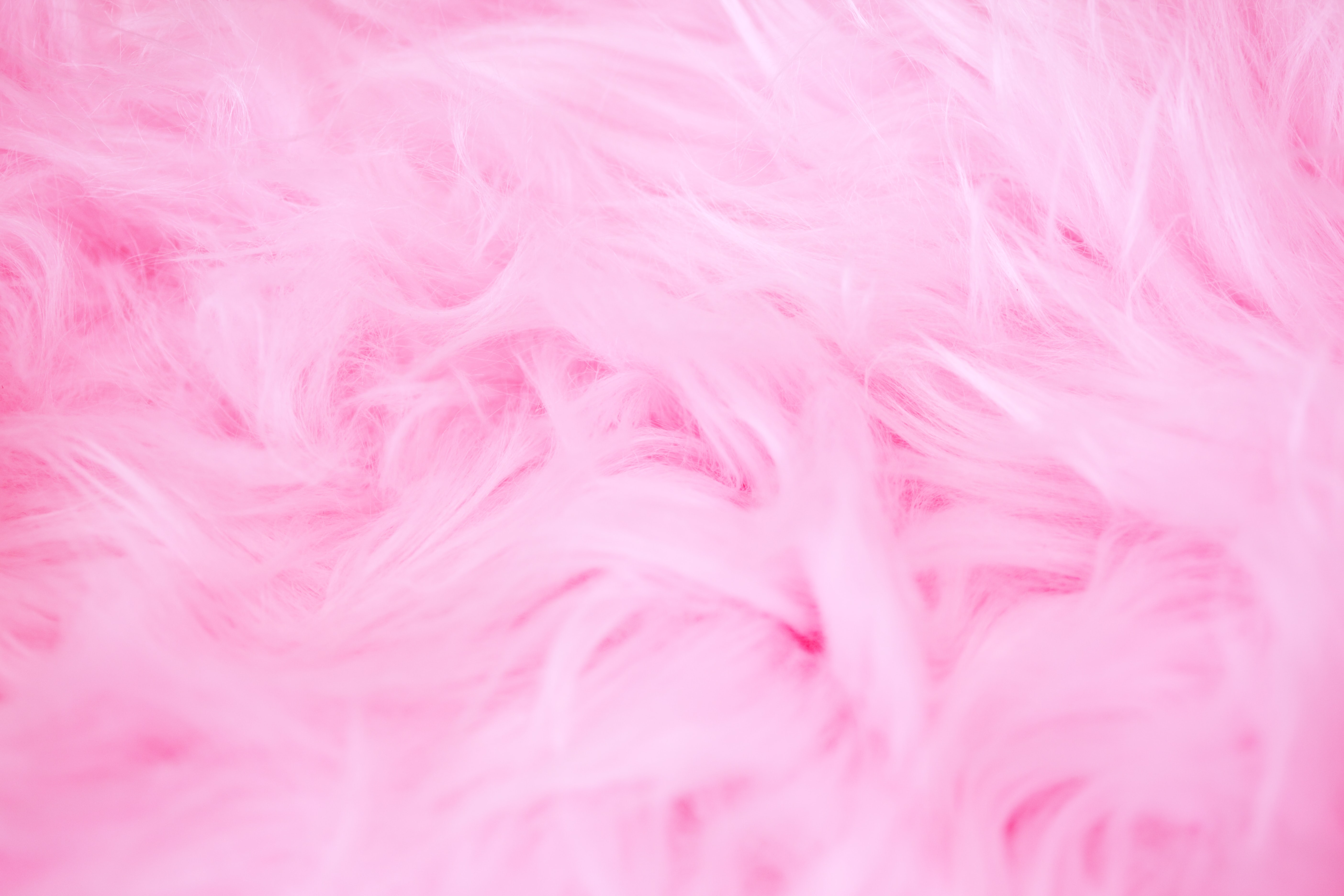 Pink Background Image HD Background