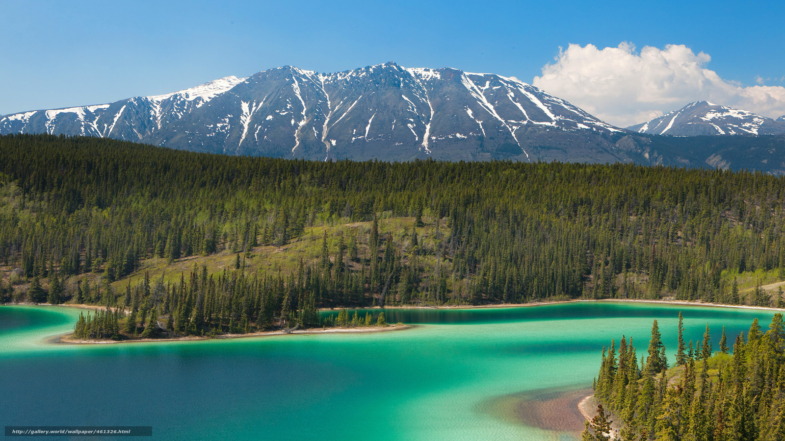 Wallpaper Mountains Lake Alaska Trees Desktop