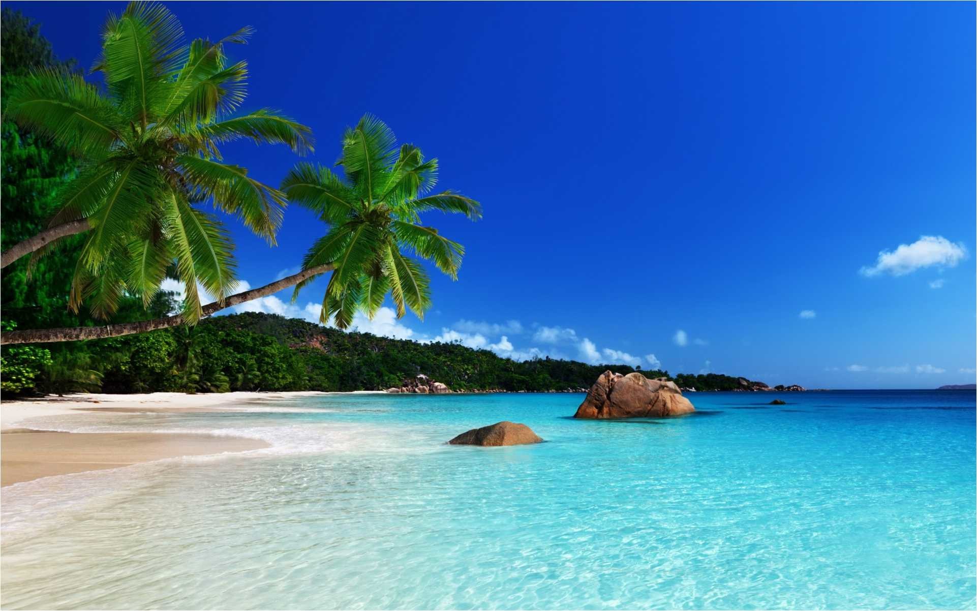 Jamaica Wallpaper