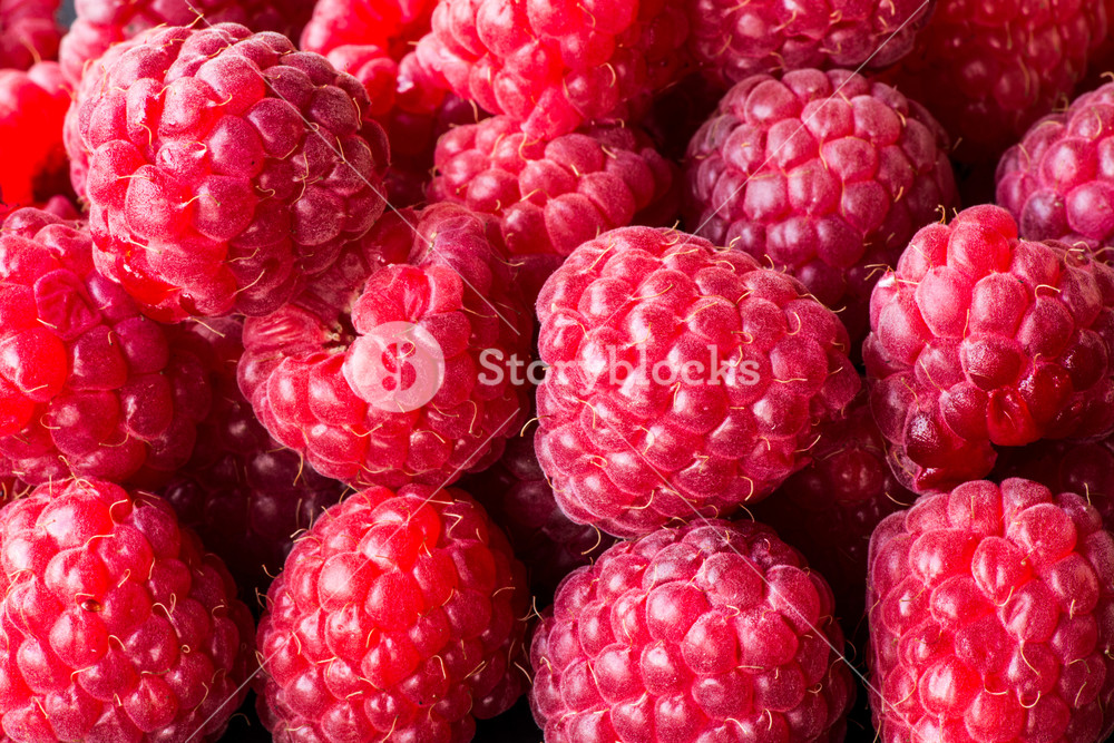 Raspberry Fruit Background Super Macro Fresh And Tasty Looking