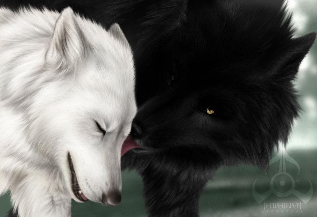 Black Anime Wolf Wallpaper And White