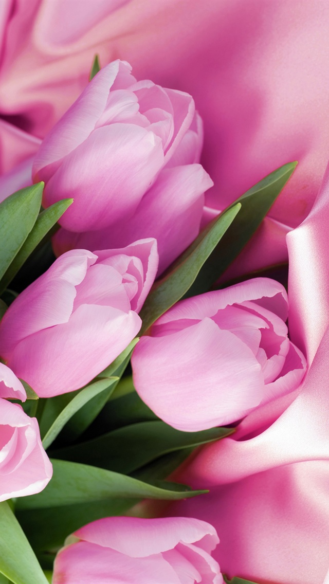 Pink Tulips Wallpaper Iphone Pink tulip macro pink satin