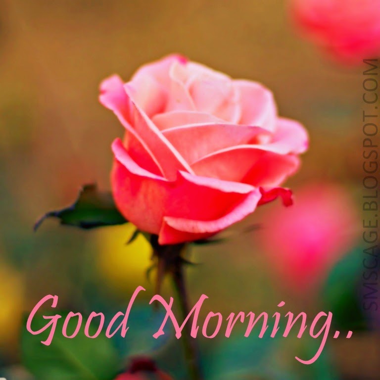 Good morning sms