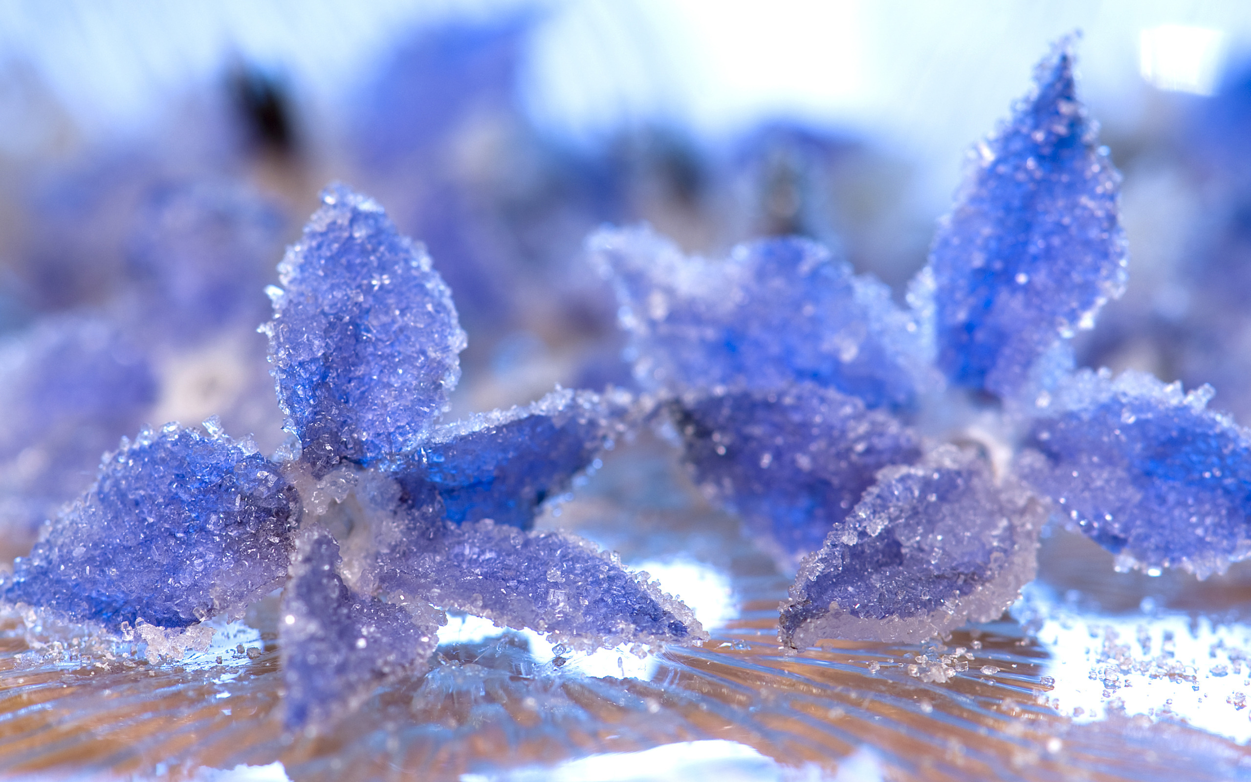 Up Crystal Ice Frost Petals Water Flower Bokeh Wallpaper Background
