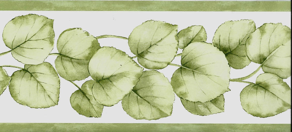 Waverly Lime Green Leaf on White Wallpaper Border eBay