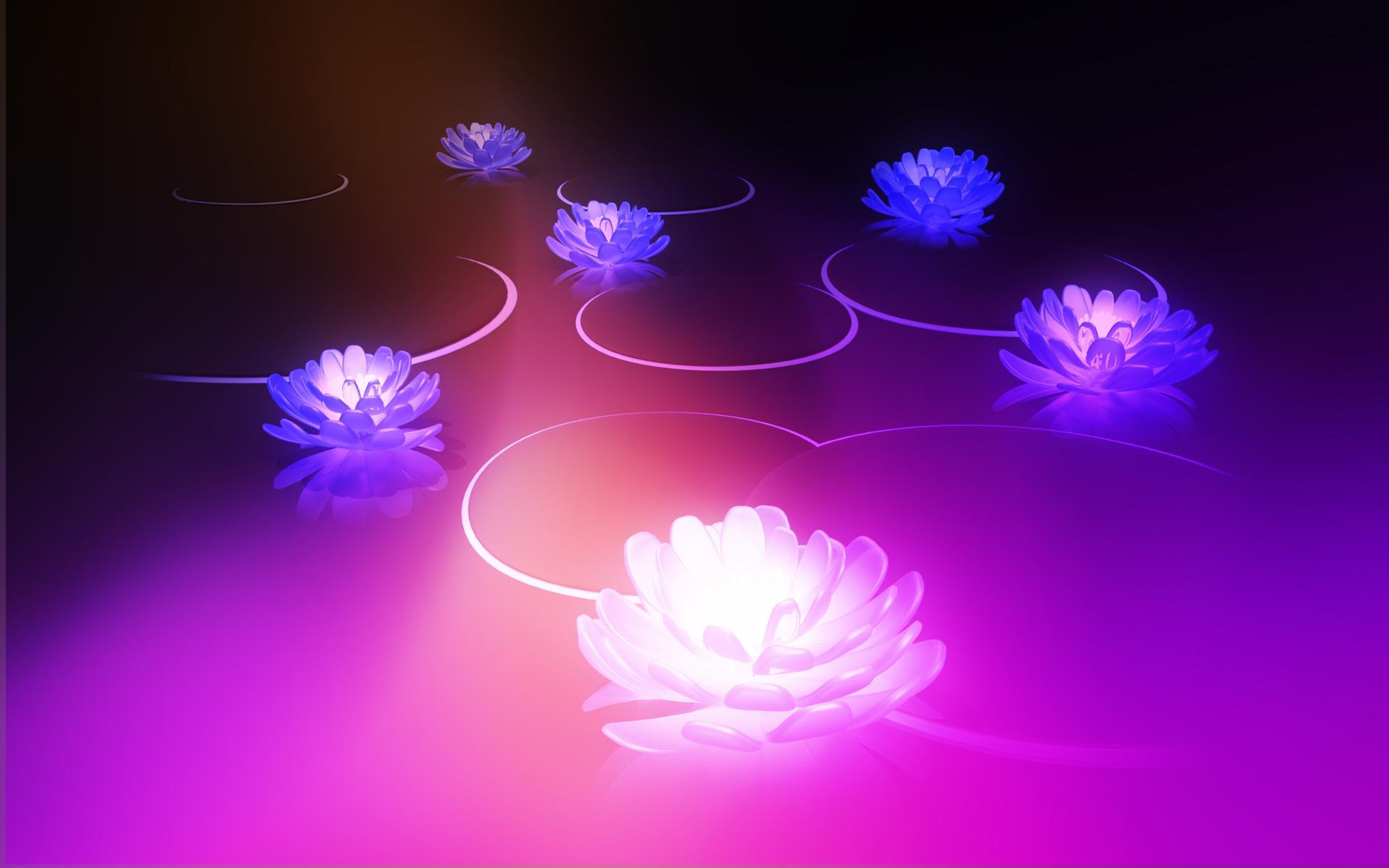 Water Lilies Wallpaper Top HD Desktop Background