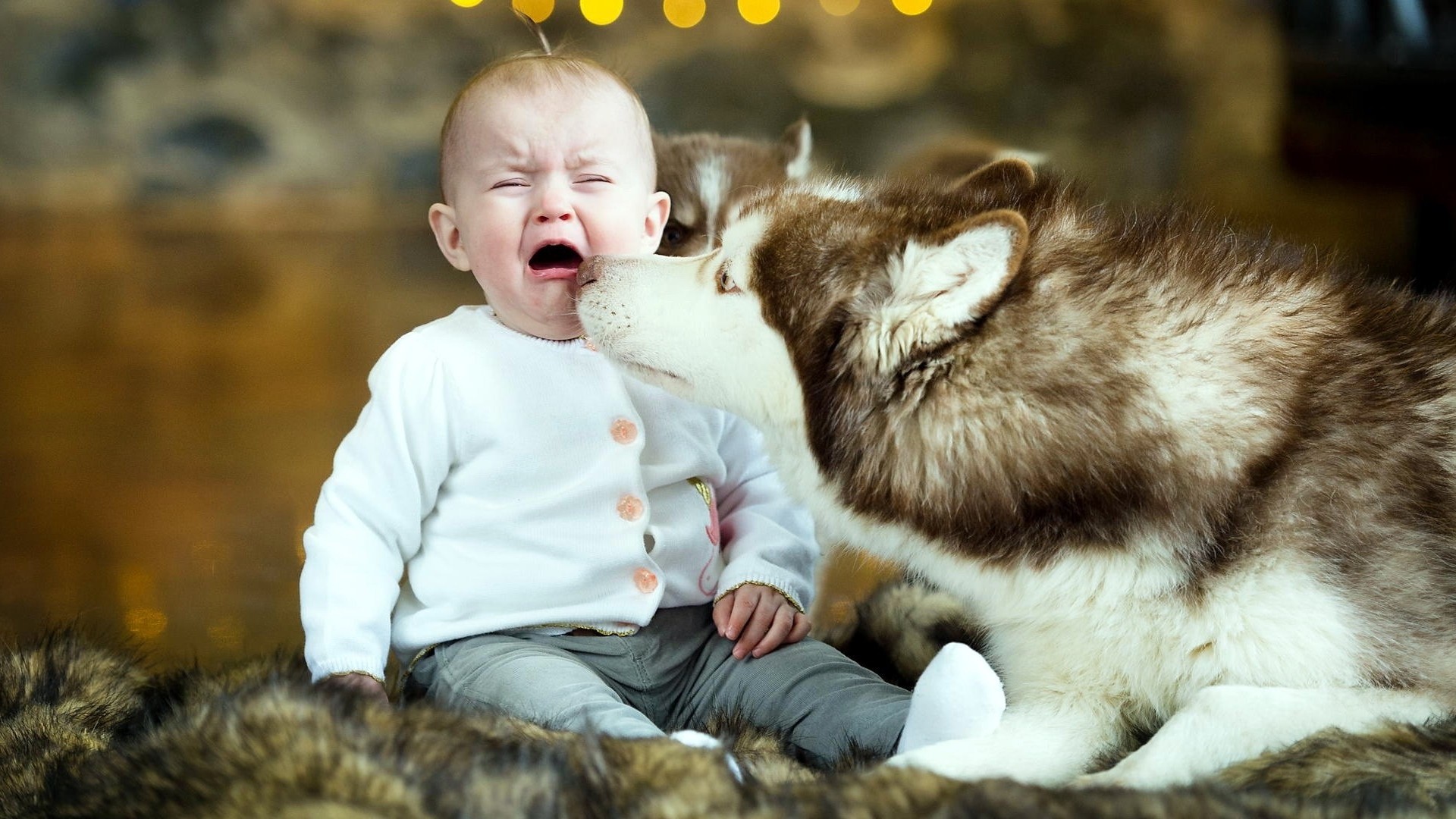 Cute Crying Baby With Dog Wallpaper HD