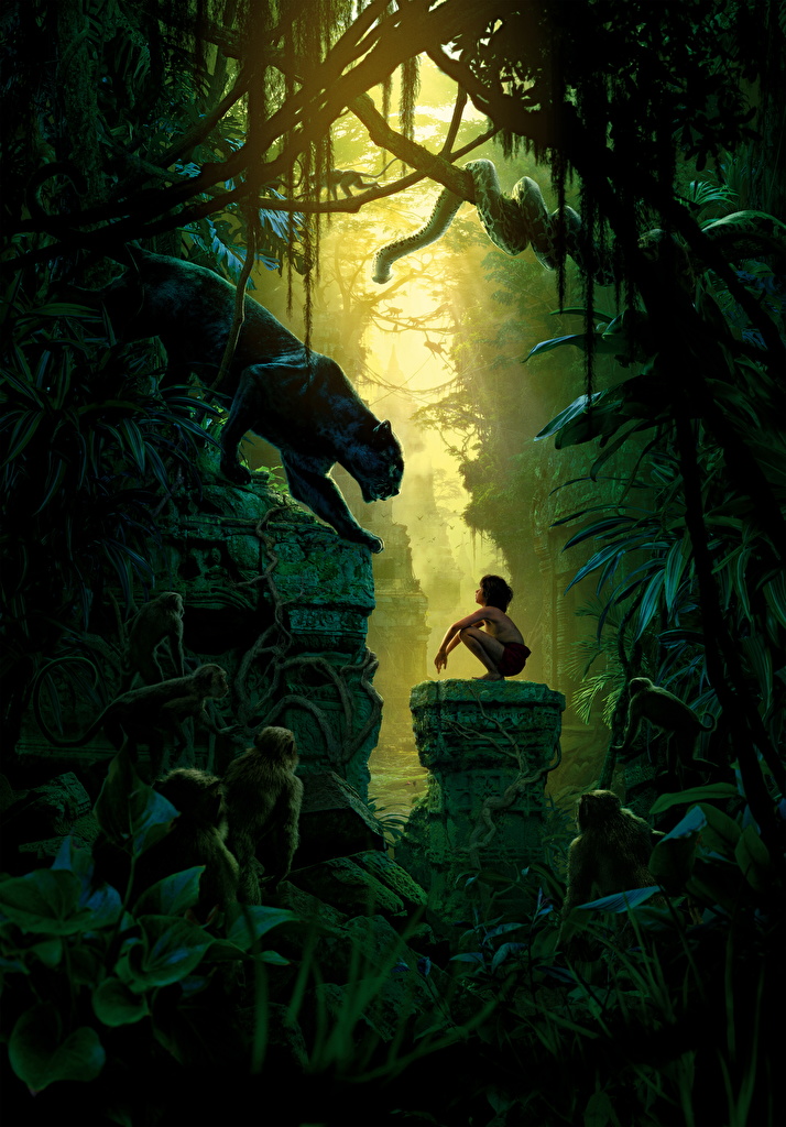 Image The Jungle Book Boys Panthers Bagheera Mowgli Neel