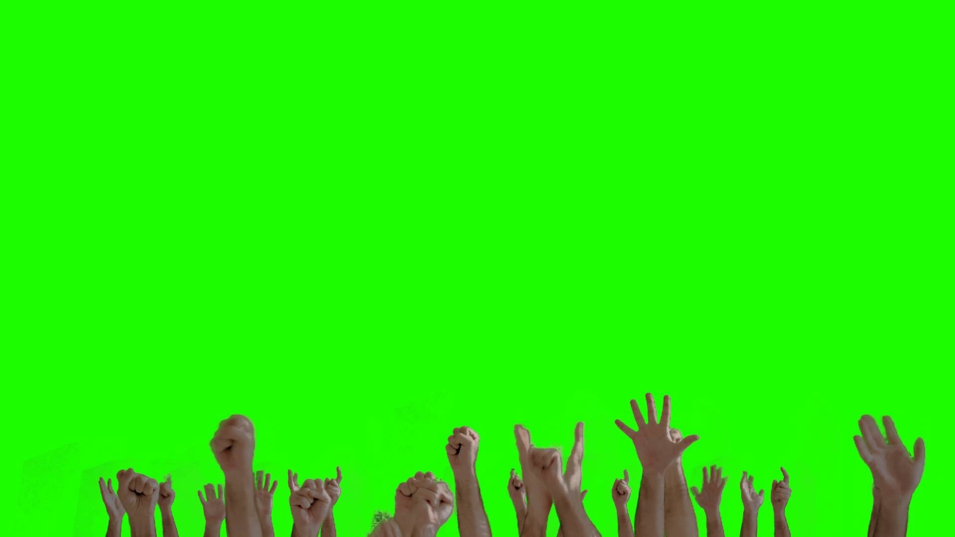 Green Screen Wallpaper
