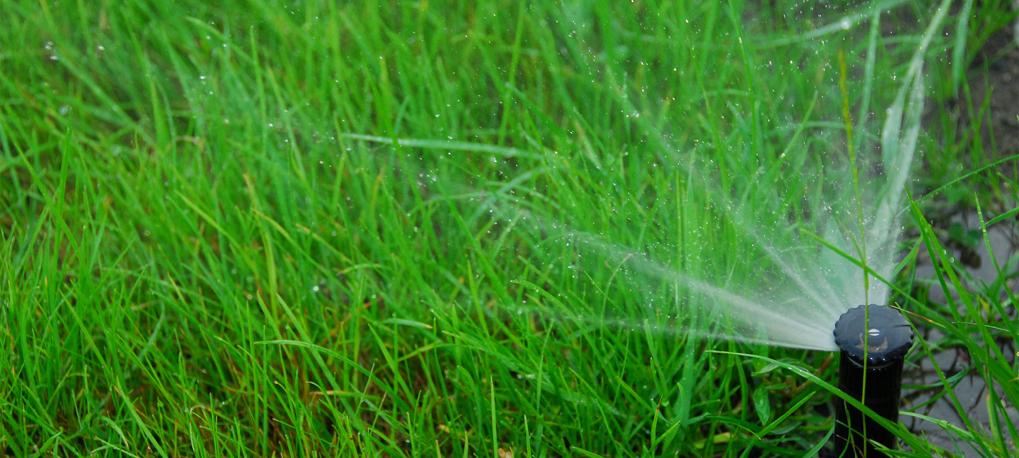 Lawn Irrigation Background Southern Nh Care