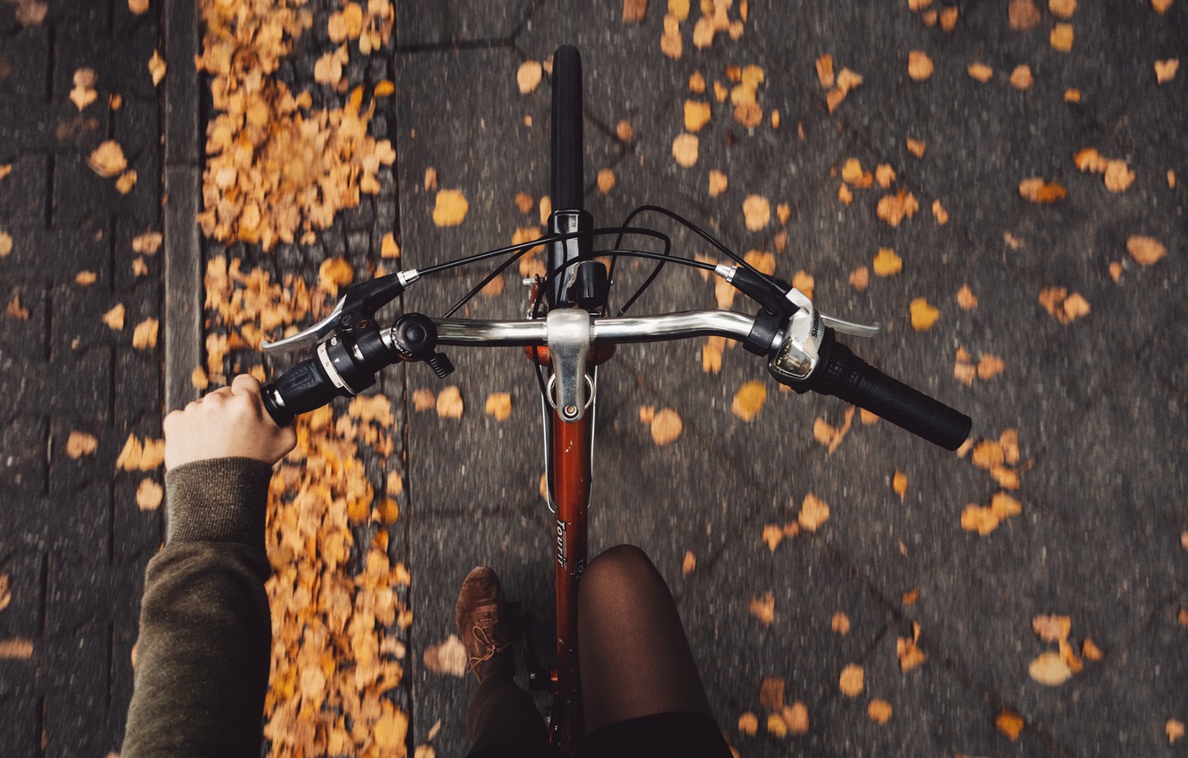 Wallpaper Autumn Girl Bike Pavers Rona Keller Image For