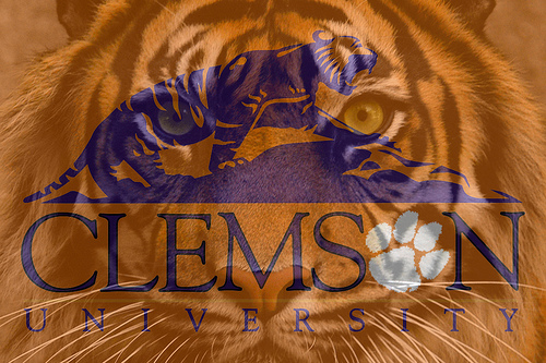 Clemson Wallpaper Tigers