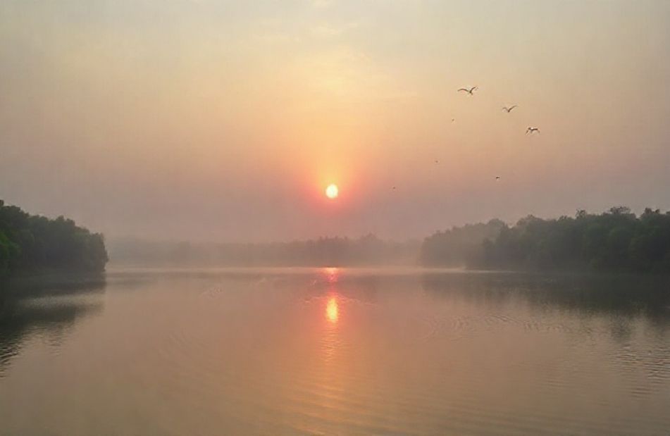 New Good Morning Wallpaper
