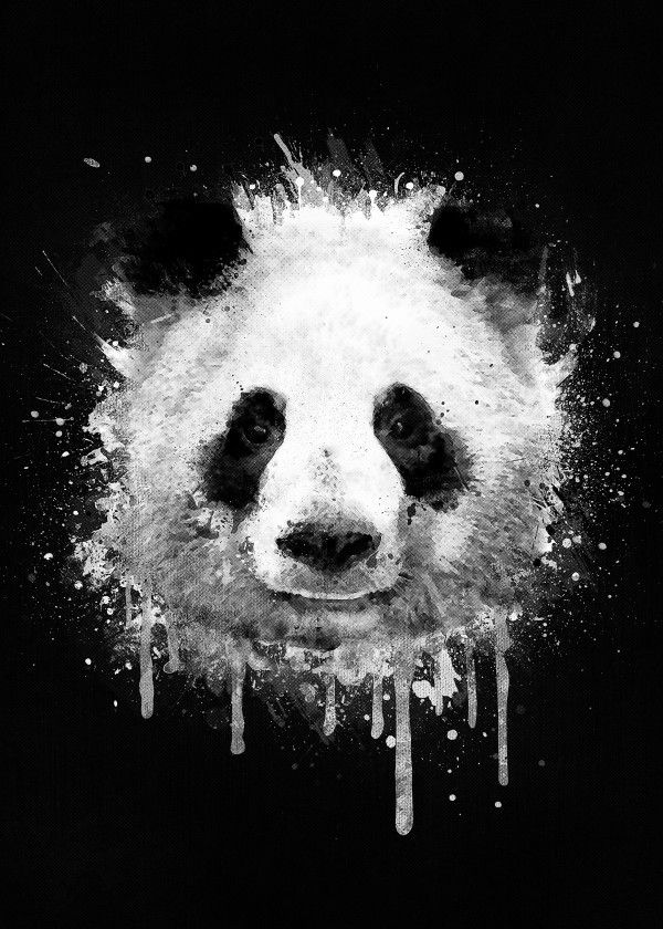 Panda Graffiti Wallpaper Teahub Io