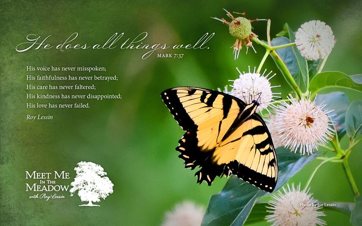 Butterflysmall Roy Lessin Favorite Quotes