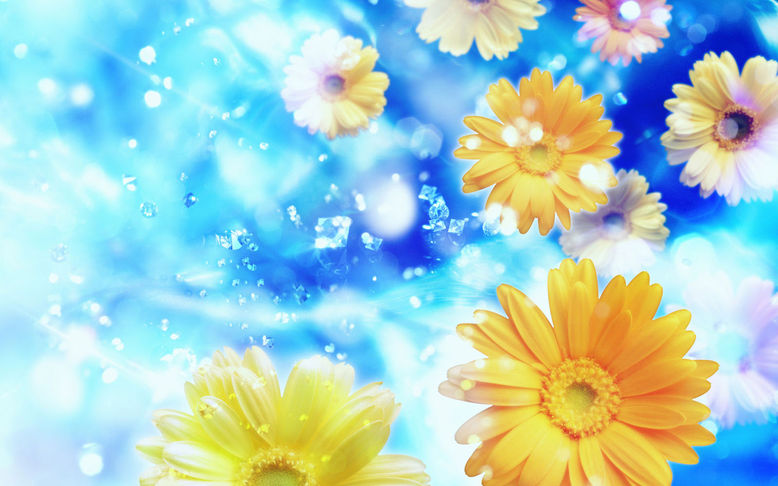 Windows Flowers Wallpaper Desktop