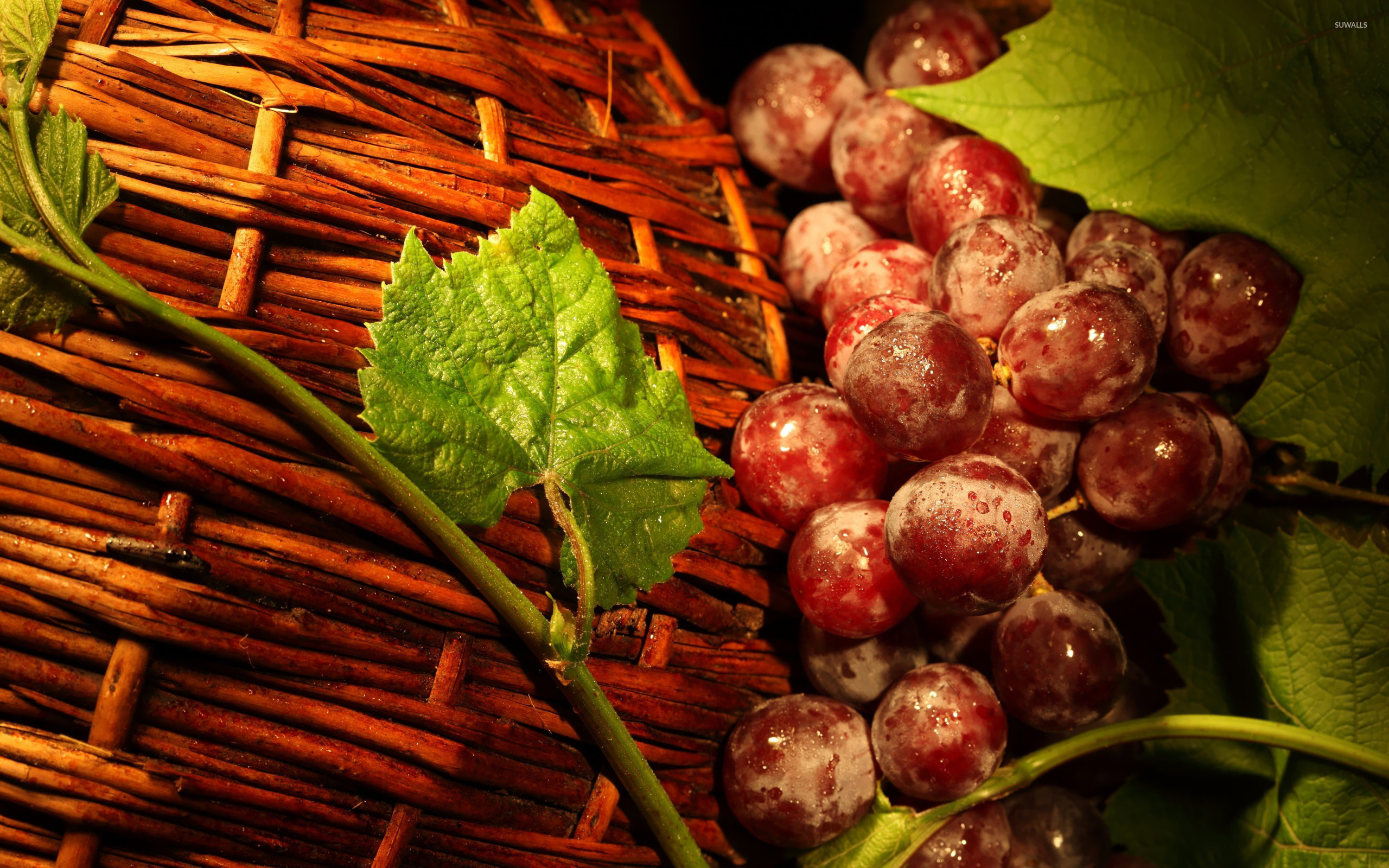 Grapes Wallpaper