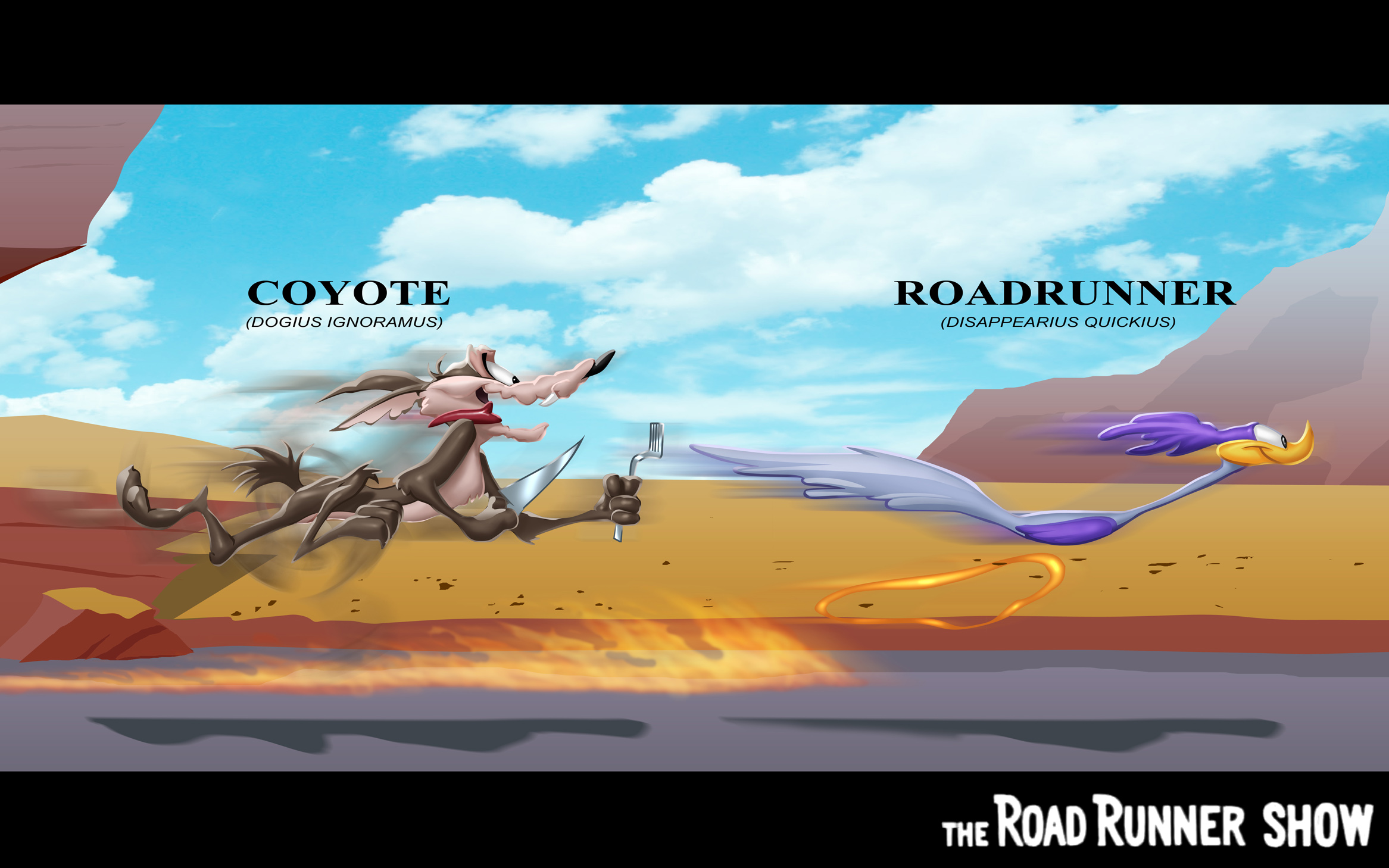 Wile E Coyote And Roadrunner Wallpaper Road Runner By