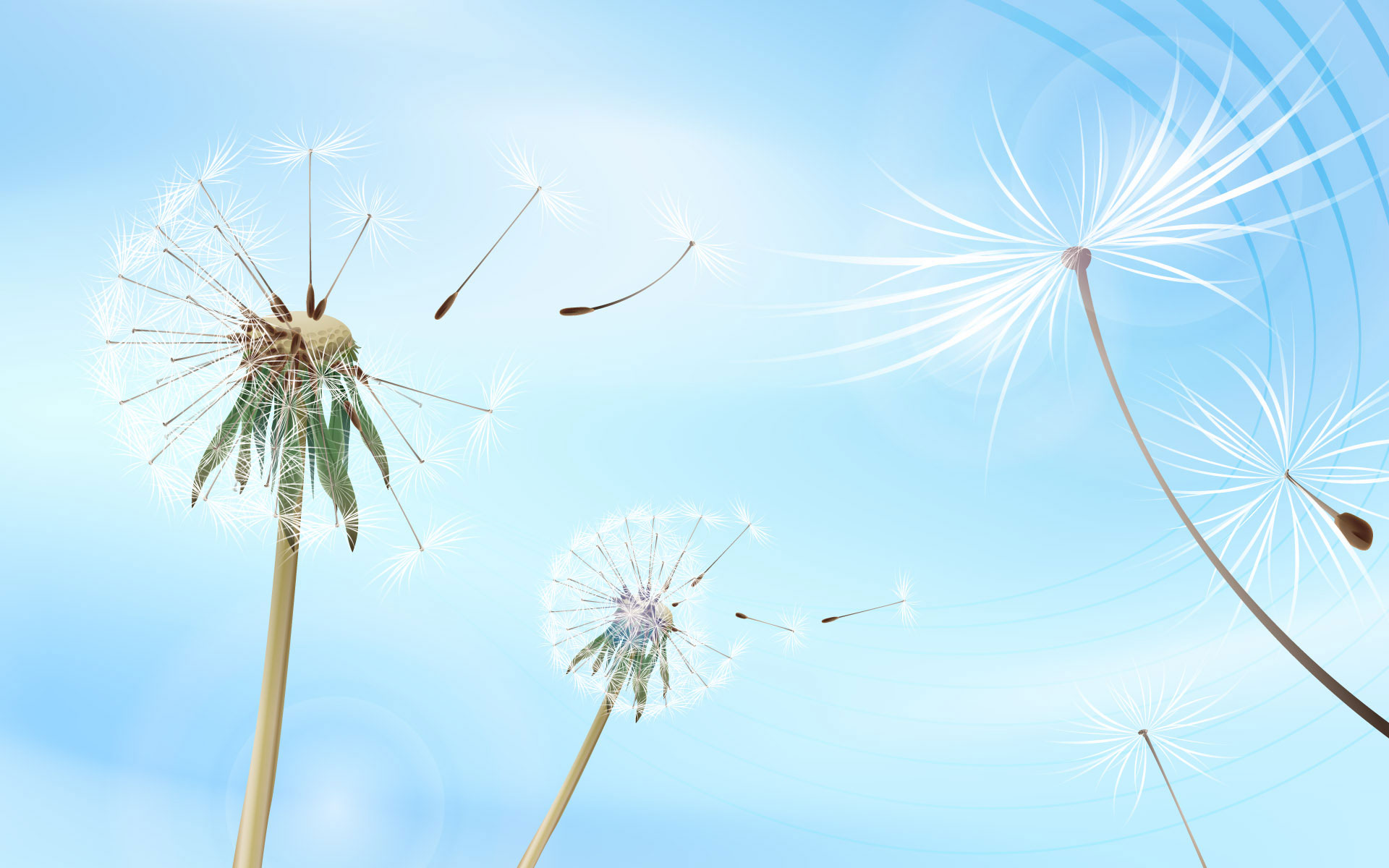 Dandelion Flying Desktop Wallpaper Background Scenery