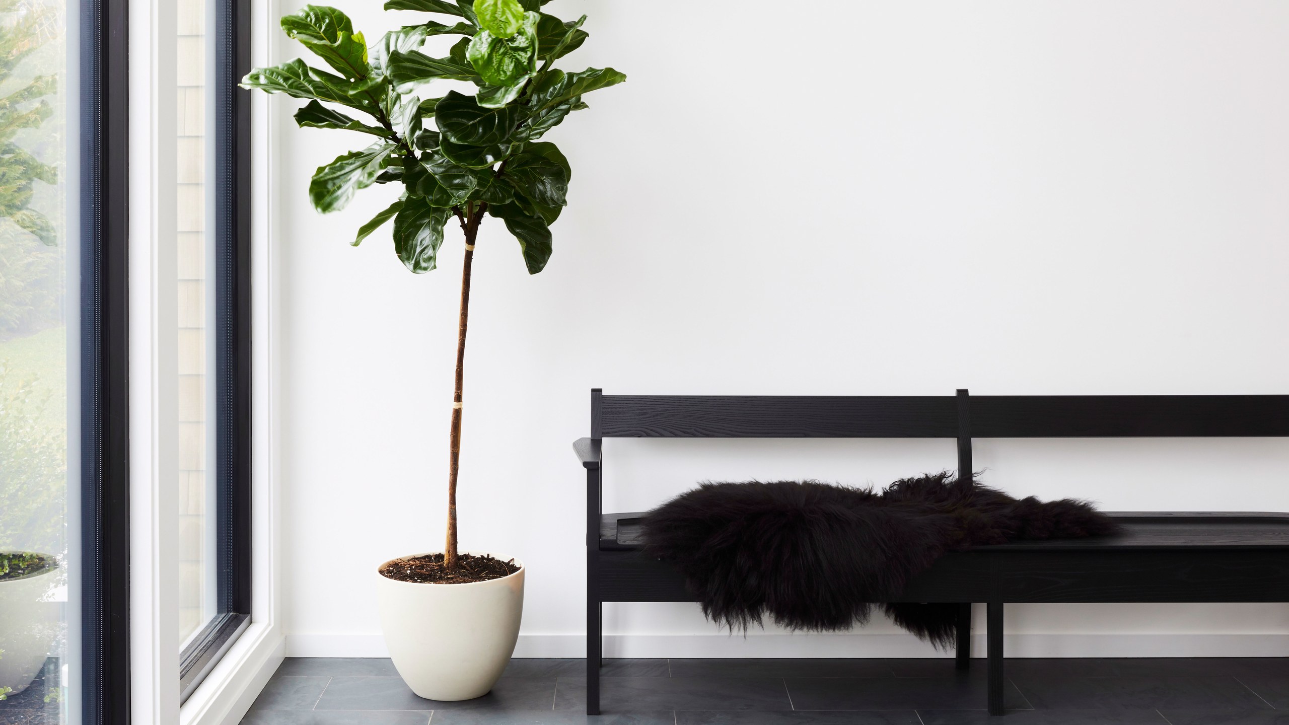 Best Indoor Plants How To Take Care Of Them Architectural Digest