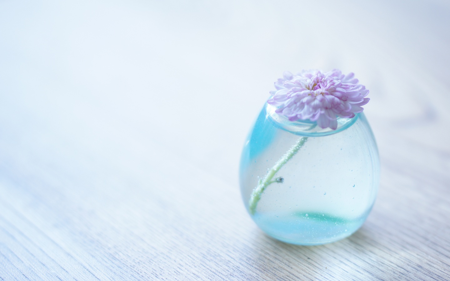 Flower Glass Vase Light Blue HD Wallpaper
