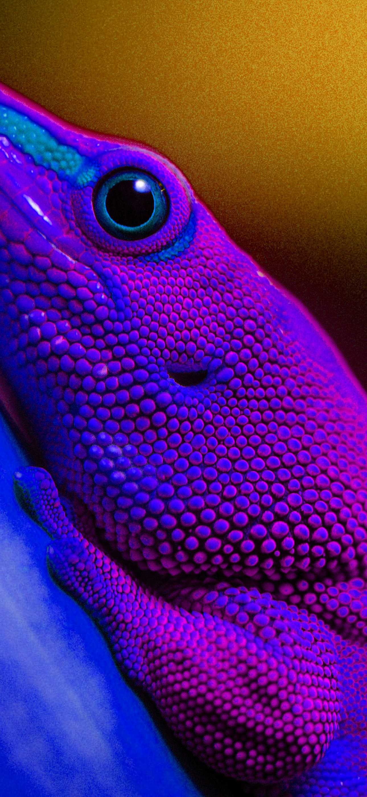 Close-up of a vibrant purple and blue gecko, highlighting its textured skin and bright eye