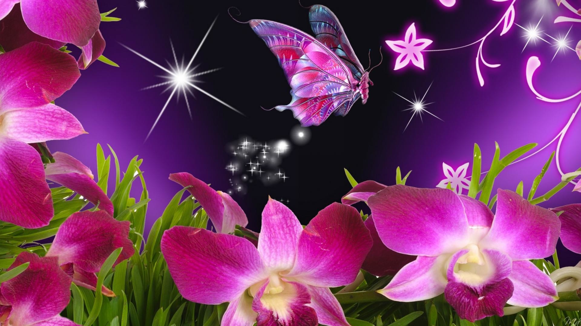 Nature Flower Wallpaper