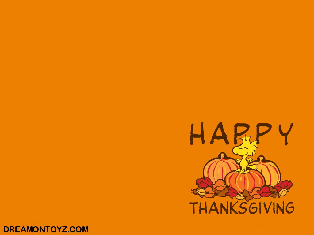 Funny Thanksgiving Desktop Wallpaper